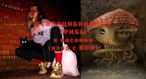 спайс Аркадак