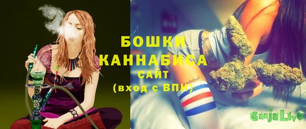 ГАЛЛЮЦИНОГЕННЫЕ ГРИБЫ Остров