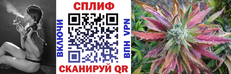 продажа наркотиков  Углич  Каннабис конопля 